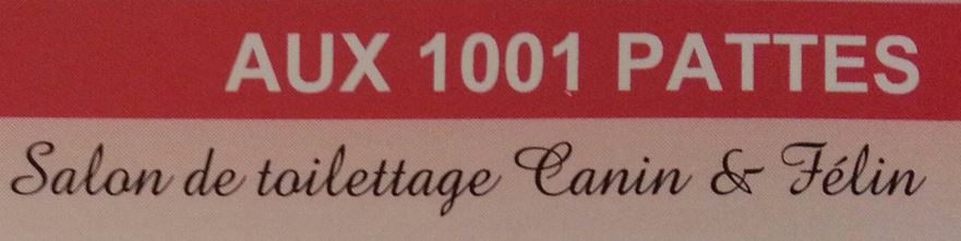 1001 pattes