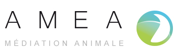 Logo AMEA